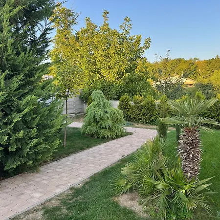 R Limoli Vintage Travnica