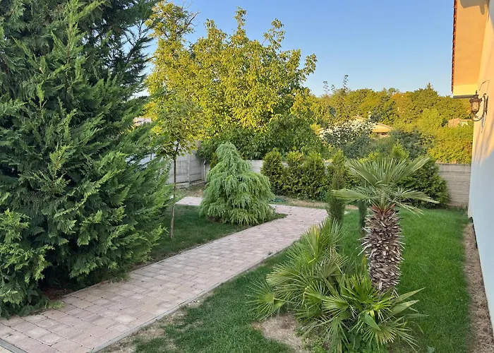 R Limoli Vintage Travnica